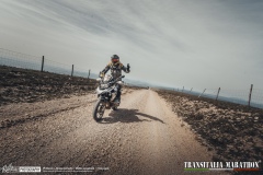 TM21-Gallery-46