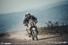 TM21-Gallery-58