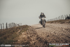 TM21-Gallery-64