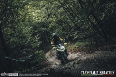 TM21-Gallery-82